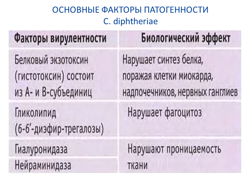 ОСНОВНЫЕ ФАКТОРЫ ПАТОГЕННОСТИ C. diphtheriae